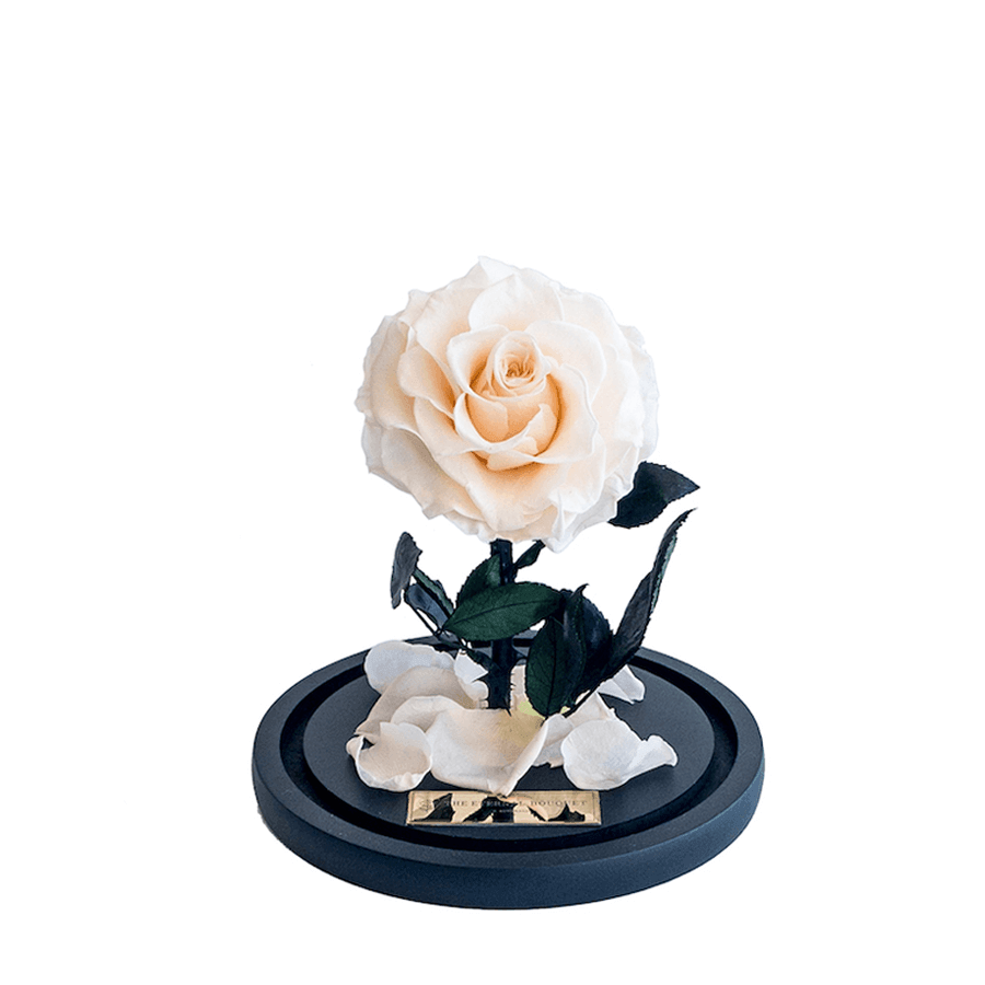 The Enchanted Mini - Champagne