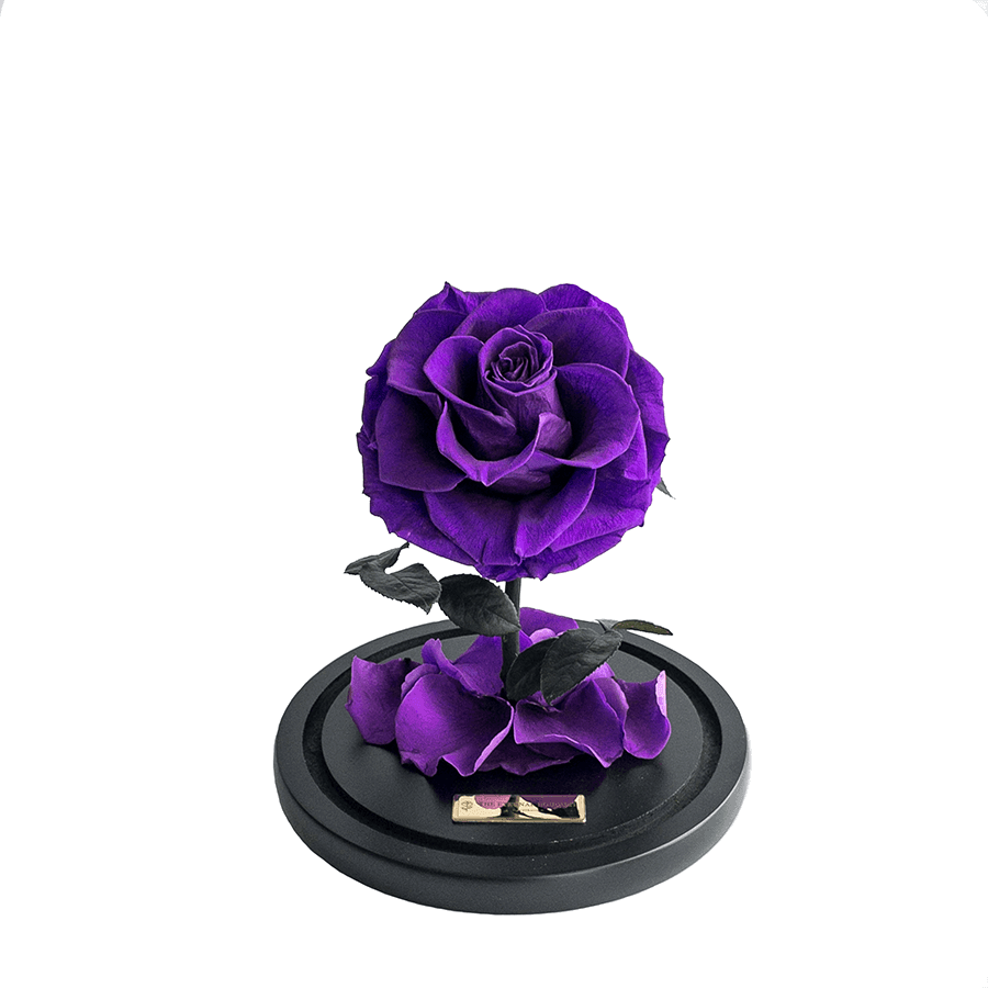 The Enchanted Mini - Purple