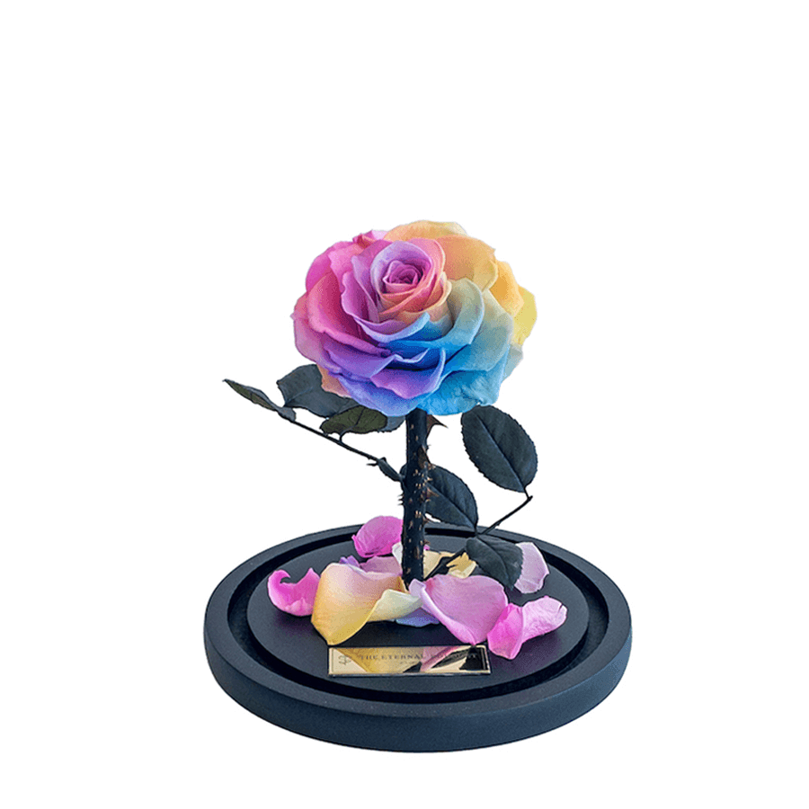 The Enchanted Mini - Rainbow