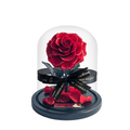 The Enchanted Mini - Red & Gold