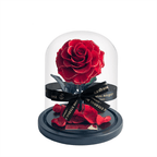 The Enchanted Mini - Red & Gold