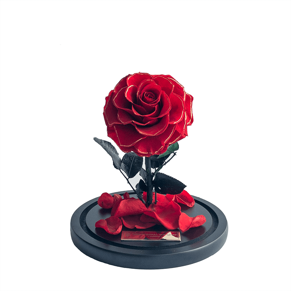 The Enchanted Mini - Red & Gold