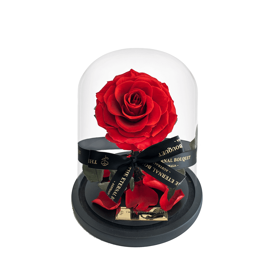 The Enchanted Mini - Red