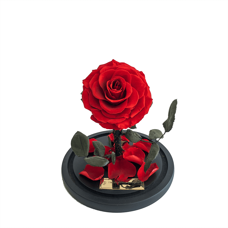 The Enchanted Mini - Red