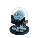The Enchanted Mini - Sky Blue