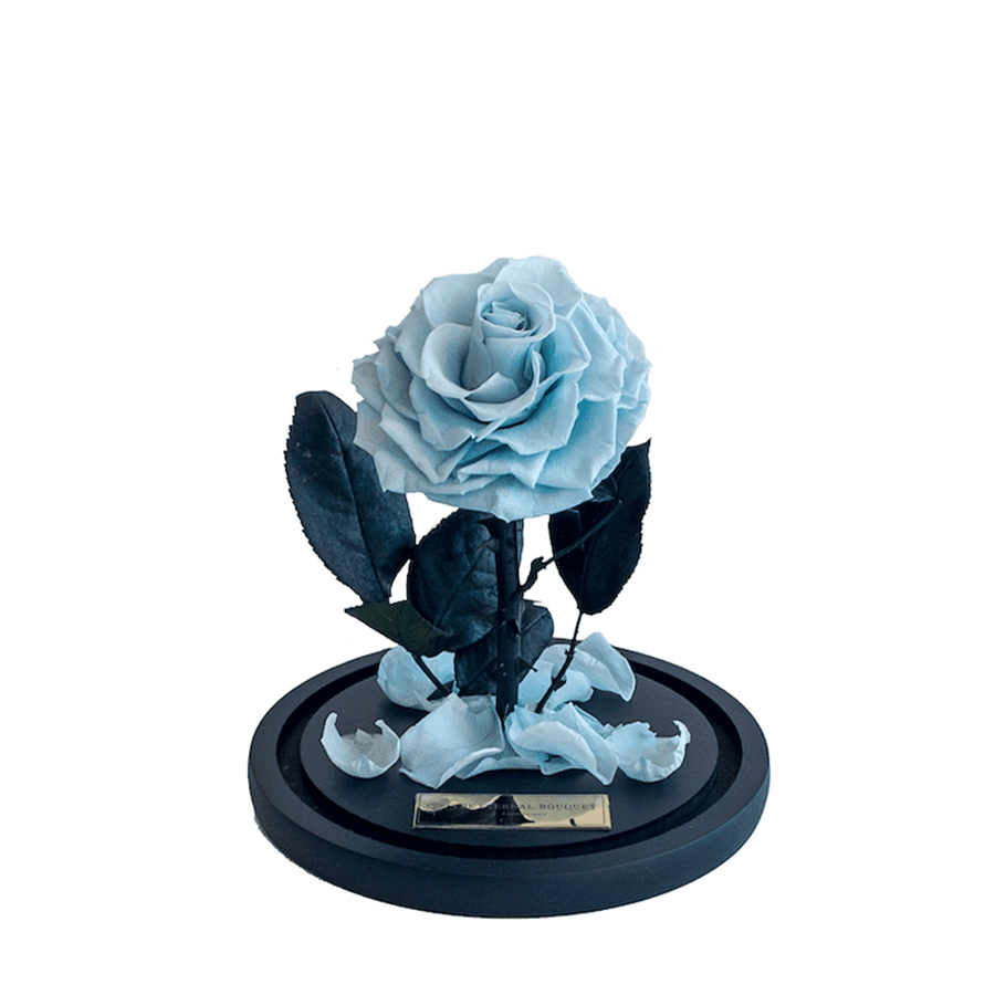 The Enchanted Mini - Sky Blue