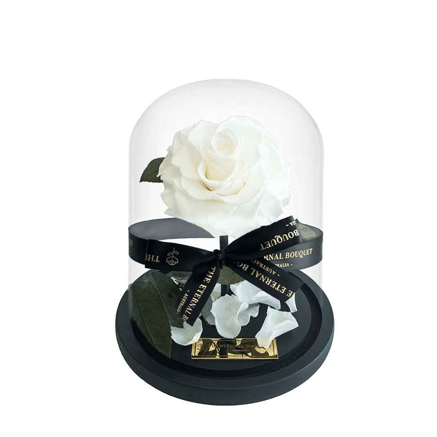 The Enchanted Mini - White