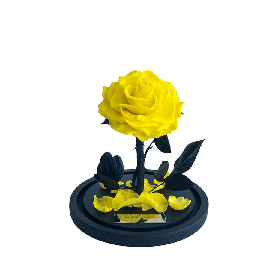 The Enchanted Mini - Yellow