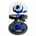 The Enchanted Rose - Evil Eye