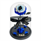 The Enchanted Rose - Evil Eye