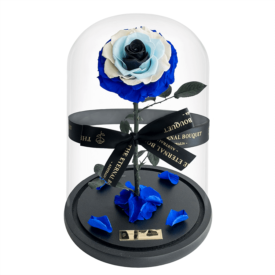 The Enchanted Rose - Evil Eye