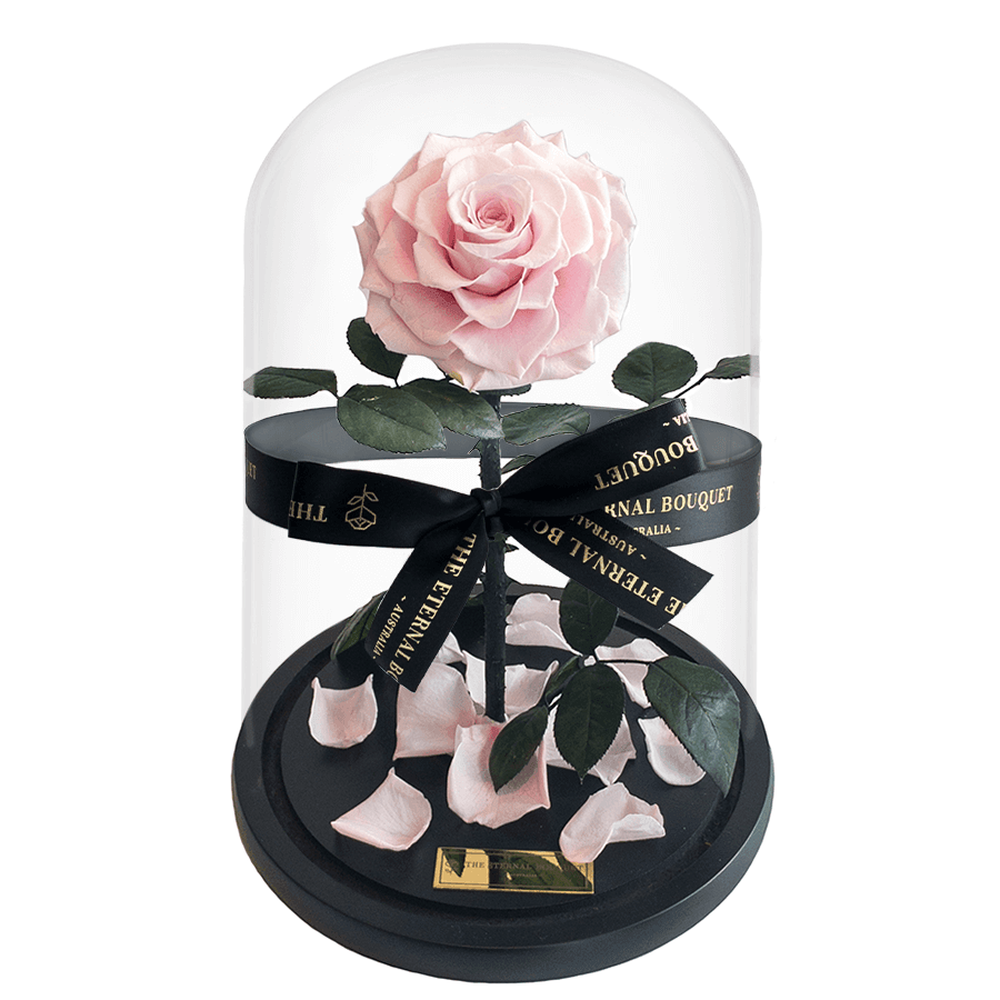 The Enchanted Rose - Pink