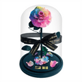 The Enchanted Rose - Rainbow