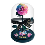 The Enchanted Rose - Rainbow