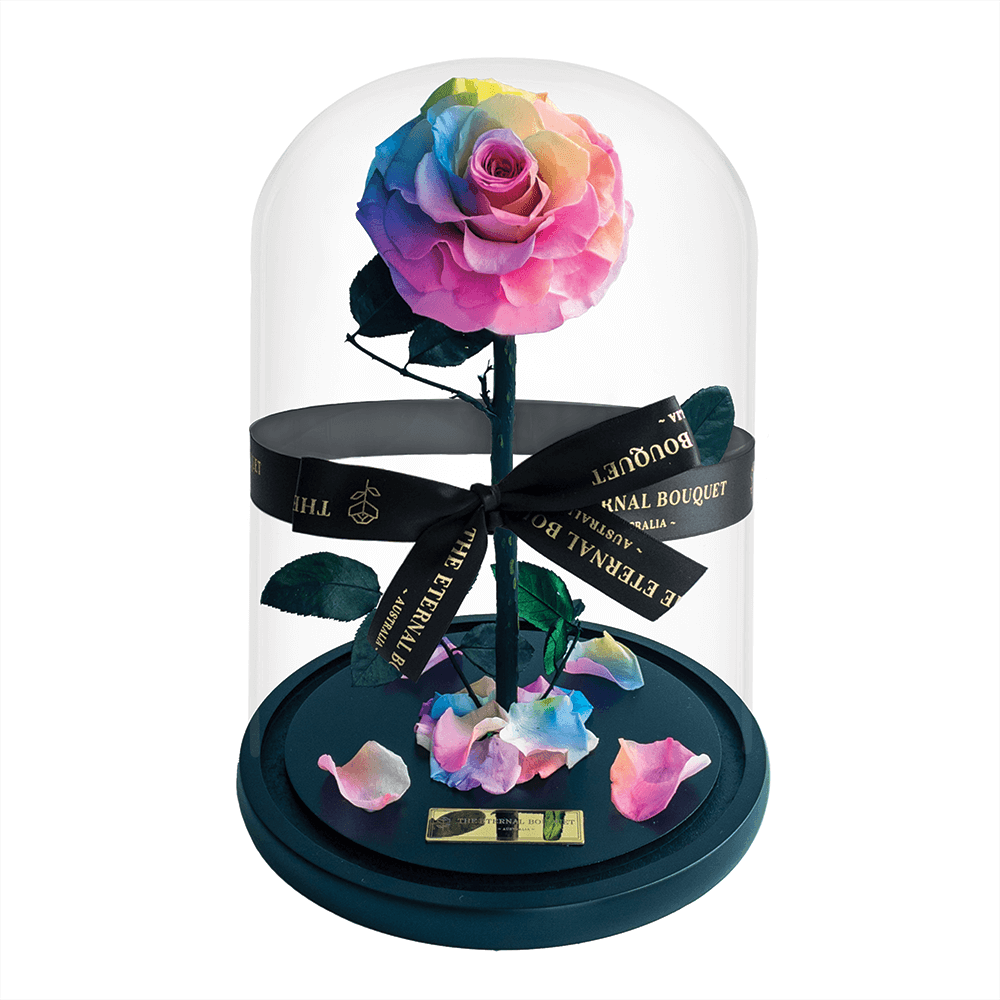 The Enchanted Rose - Rainbow
