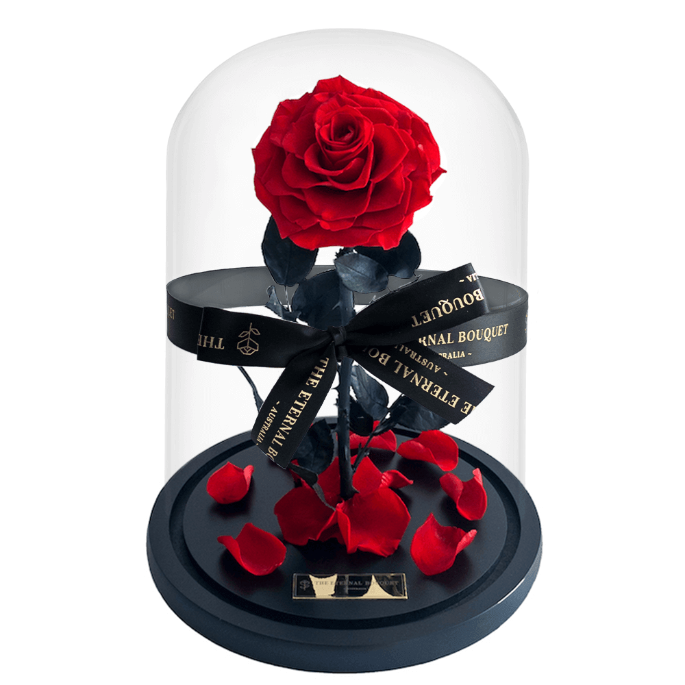 The Enchanted Rose - Red