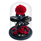 The Enchanted Rose - Red