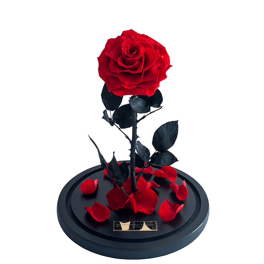 The Enchanted Rose - Red