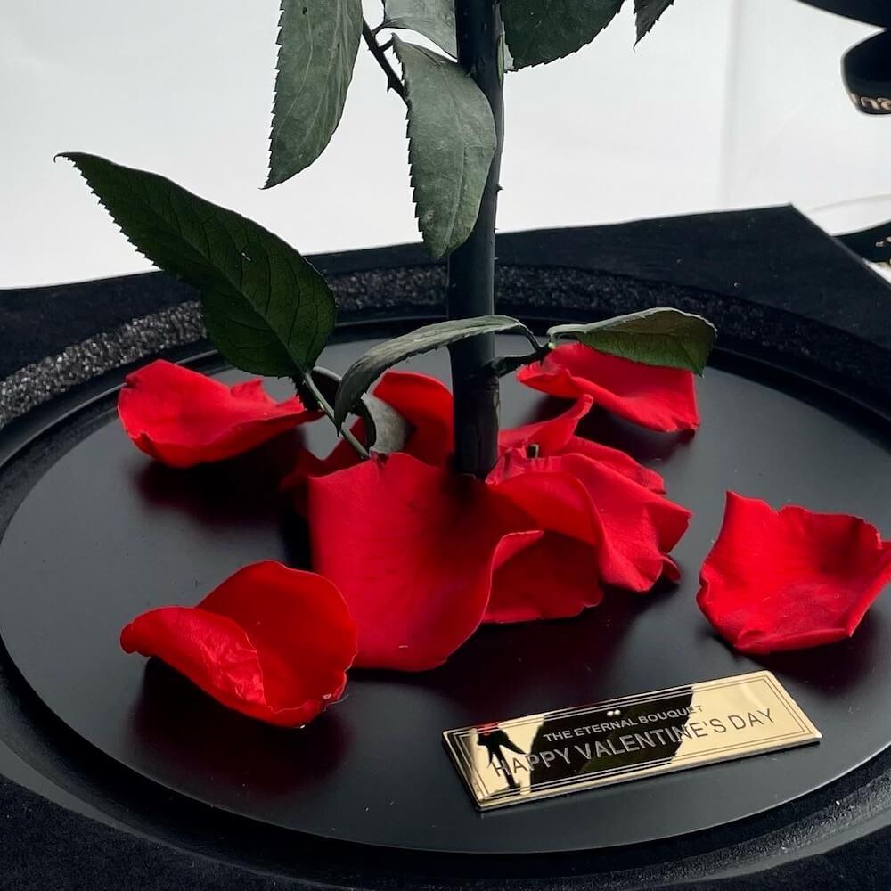 The Enchanted Rose - Red