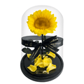 The Eternal Sunflower